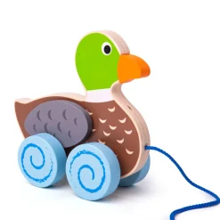 Big Jigs Duck Pull Along