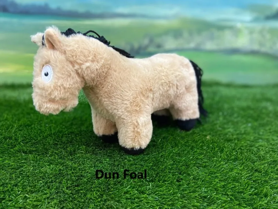 Crafty Ponies Foal