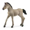 Schleich Criollo Definitivo Foal