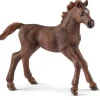 Schleich English Thoroughbred Foal