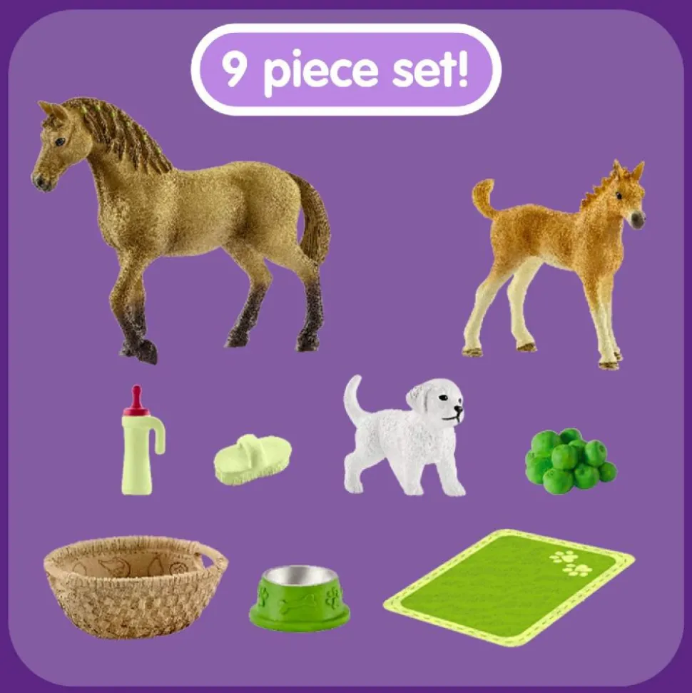 Schleich Horse Club Baby Animal Care Set 42432