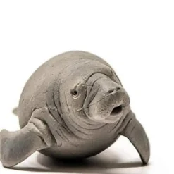 Schleich Manatee