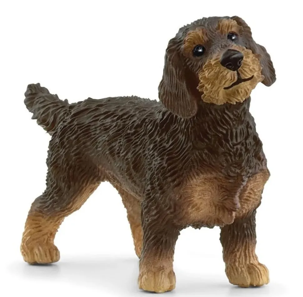Schleich Wire Haired Dachshund Dog 13972
