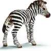 Schleich Zebra Foal